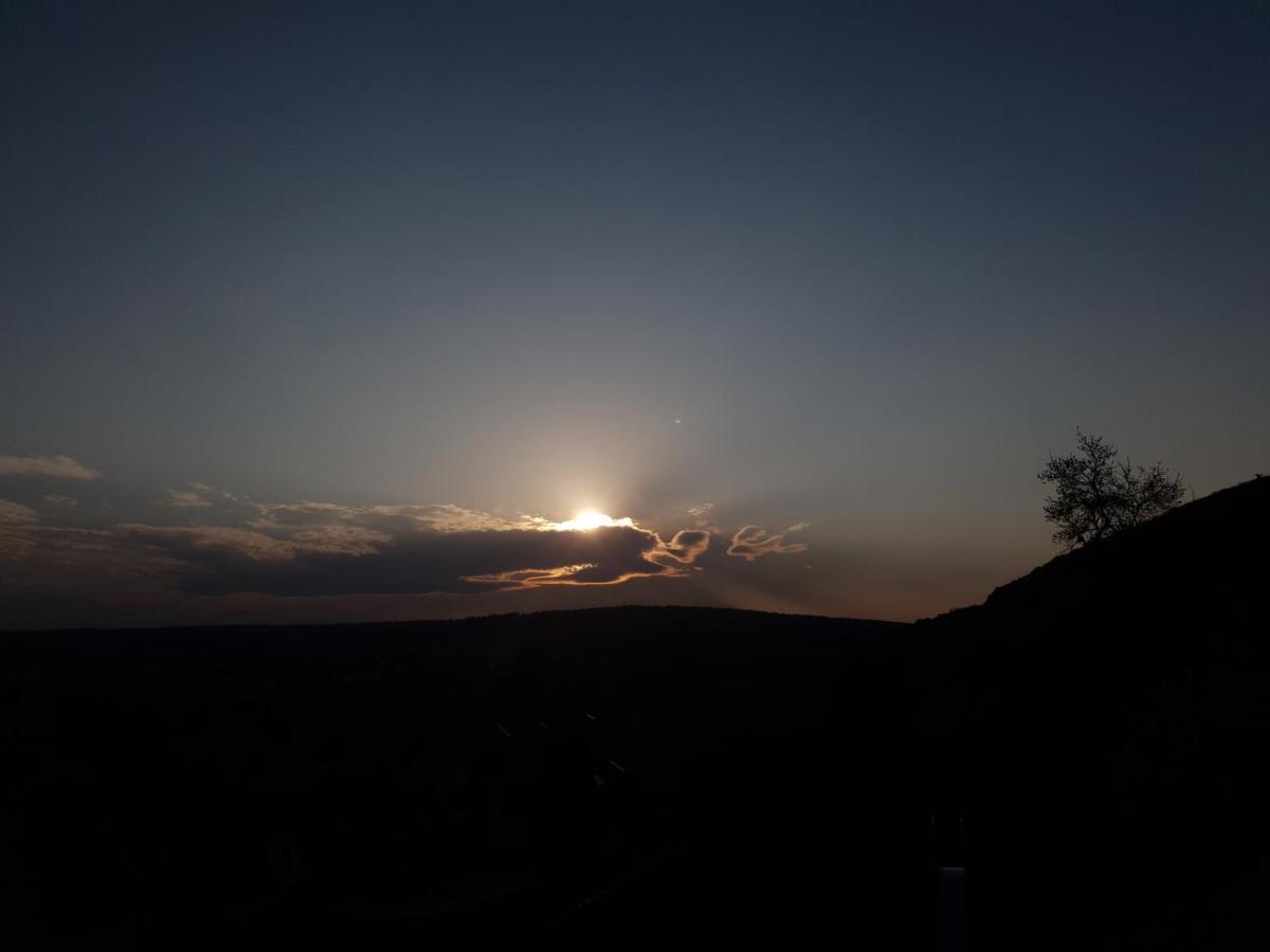 Am Sonnigen Haimberg Apartment Fulda